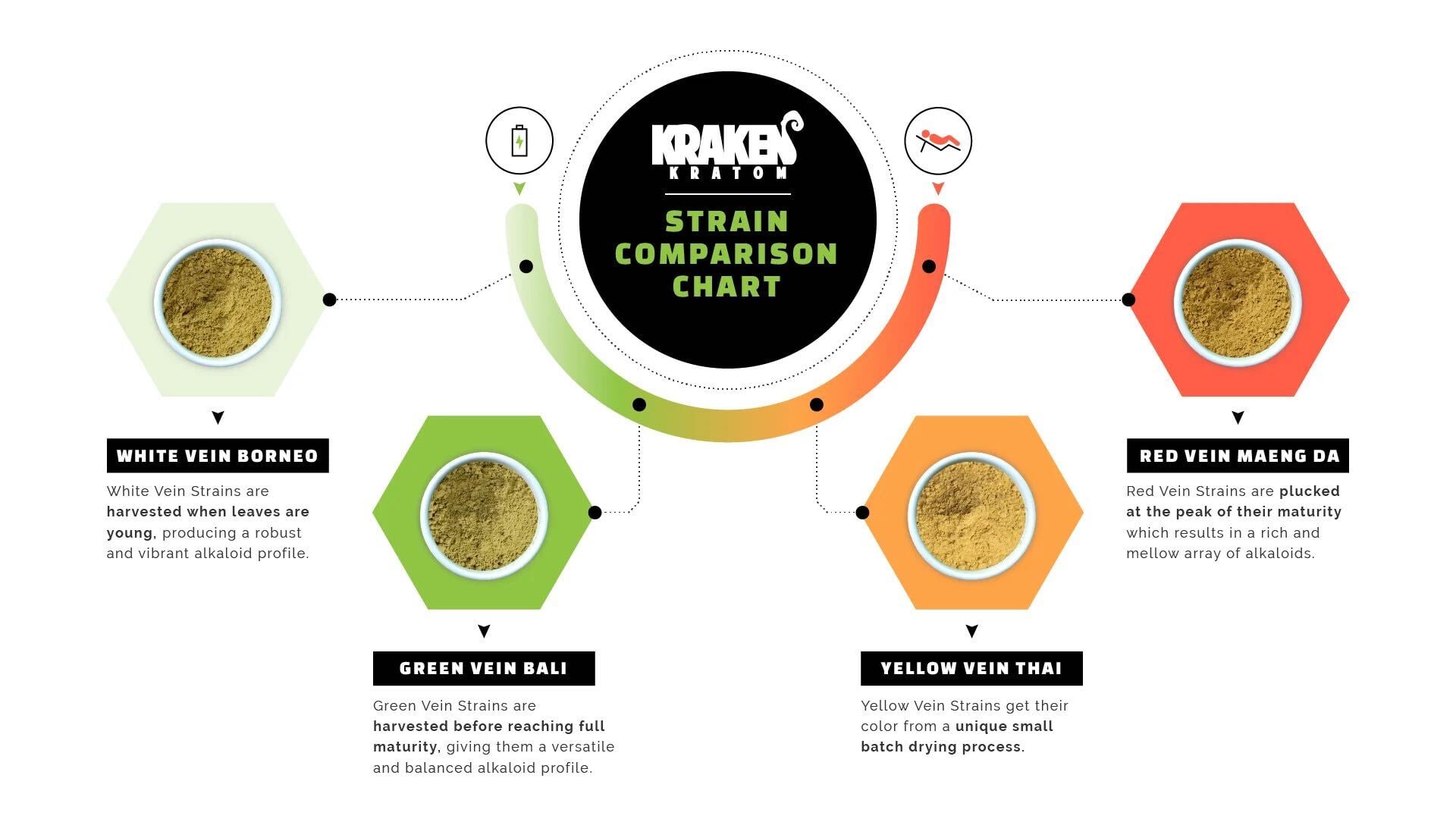 Kratom strain comparison chart from Kraken Kratom. Strains and origins: Maeng Da (Thai lineage, grown in Indonesia); Bali (Borneo and Sumatra); Borneo (Kalimantan, Indonesia); Sumatra (island of Sumatra); Thai (Thai lineage, cultivated in Indonesia); Malaysian (Malay lineage); Indo (Indonesia). Strains are arranged along a spectrum marked with a battery icon at one end and a bed icon at the other.